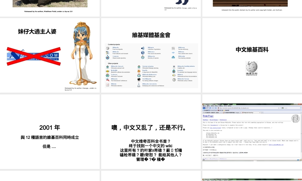 中文維基百科的發展和推廣.ppt