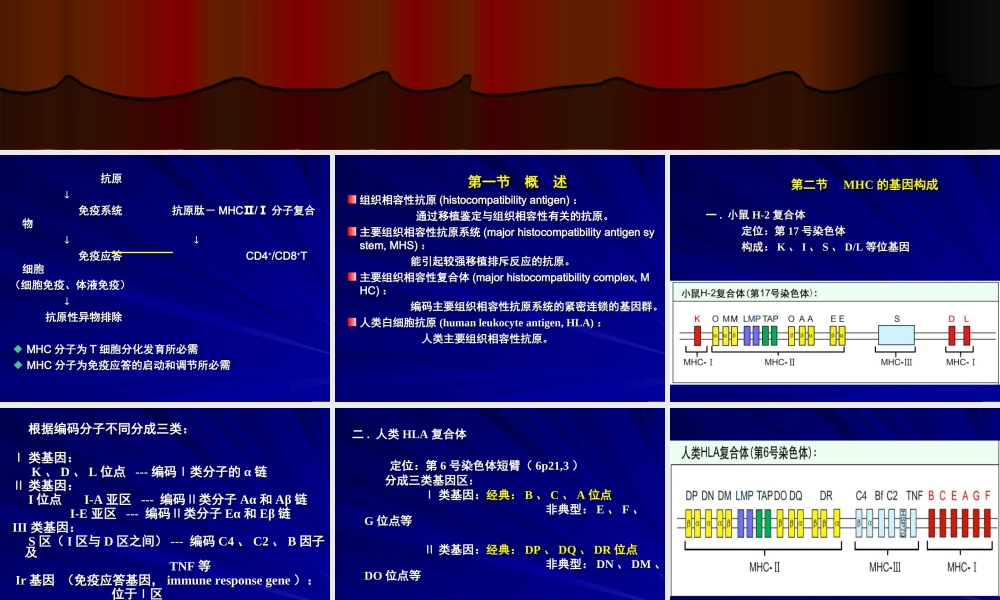 主要组织相容性复合体.ppt
