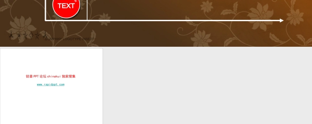 艳丽商务图表www.rapidppt.com (9).pptx