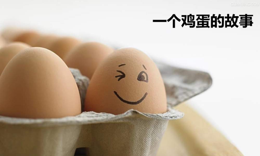 一个鸡蛋的心事jl922.PPT