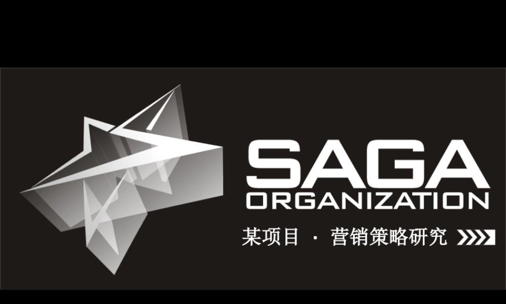 营销策略研究.ppt