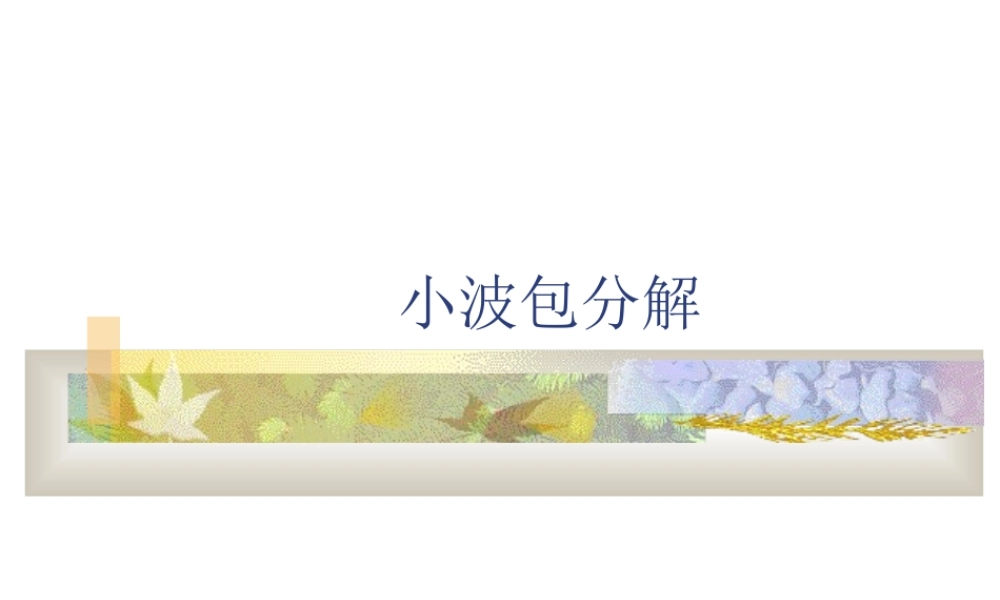 小波包分解m5ptk.ppt