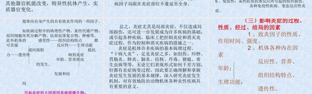 炎症概述wkkks.ppt