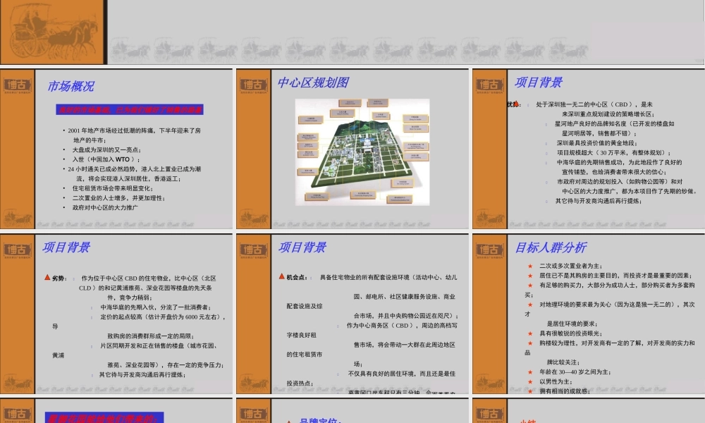 星河地产中心区项目宣传推广策略思路c4xqc.PPT