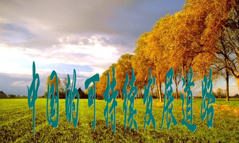 中国可持续发展道路.ppt