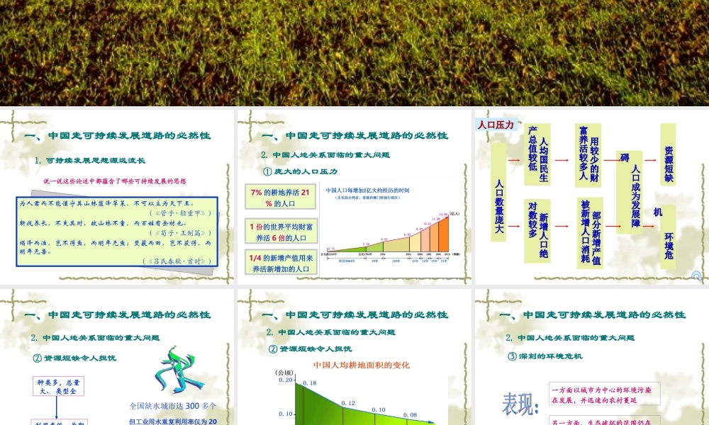 中国可持续发展道路.ppt