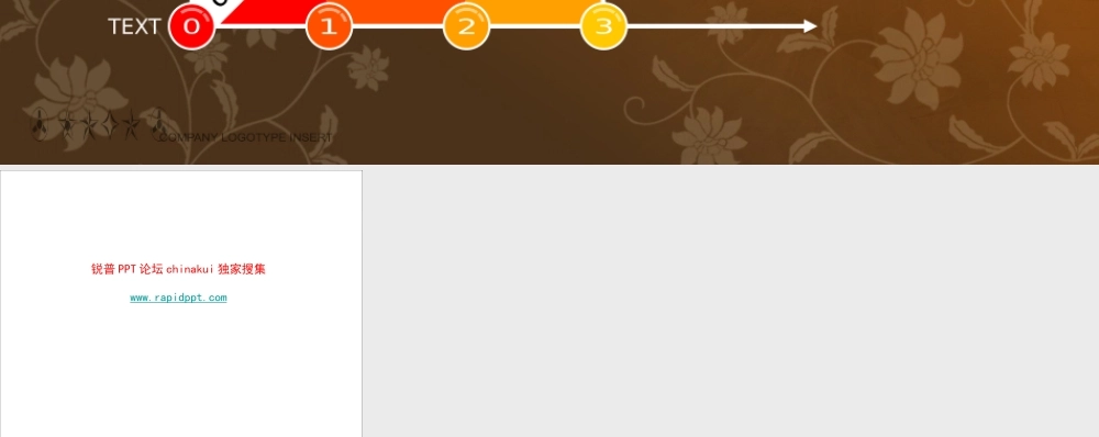 艳丽商务图表www.rapidppt.com (8).pptx