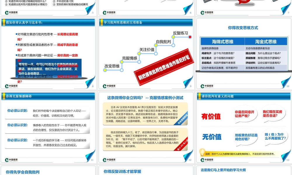 中国烟草-批零契约连锁.pptx