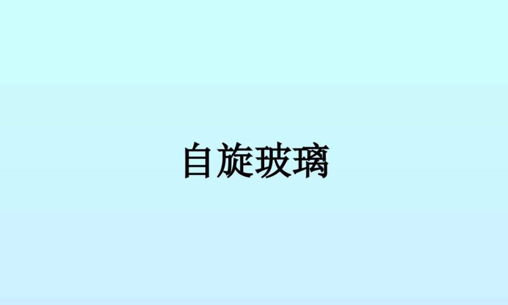 自旋玻璃.ppt