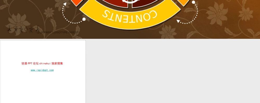 艳丽商务图表www.rapidppt.com (10).pptx