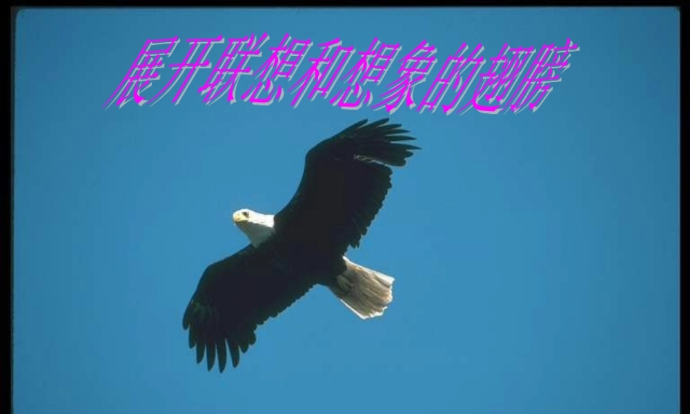 展开联想和想象的翅膀.ppt