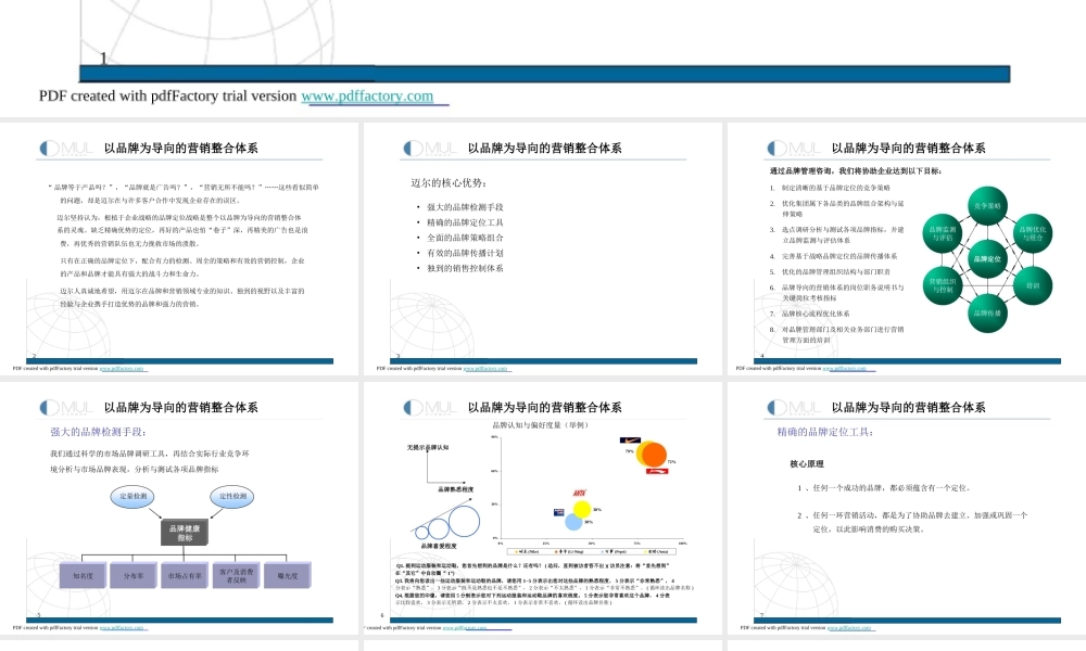 以品牌为导向的营销整合体系s8p3m.ppt