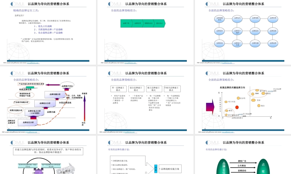 以品牌为导向的营销整合体系s8p3m.ppt