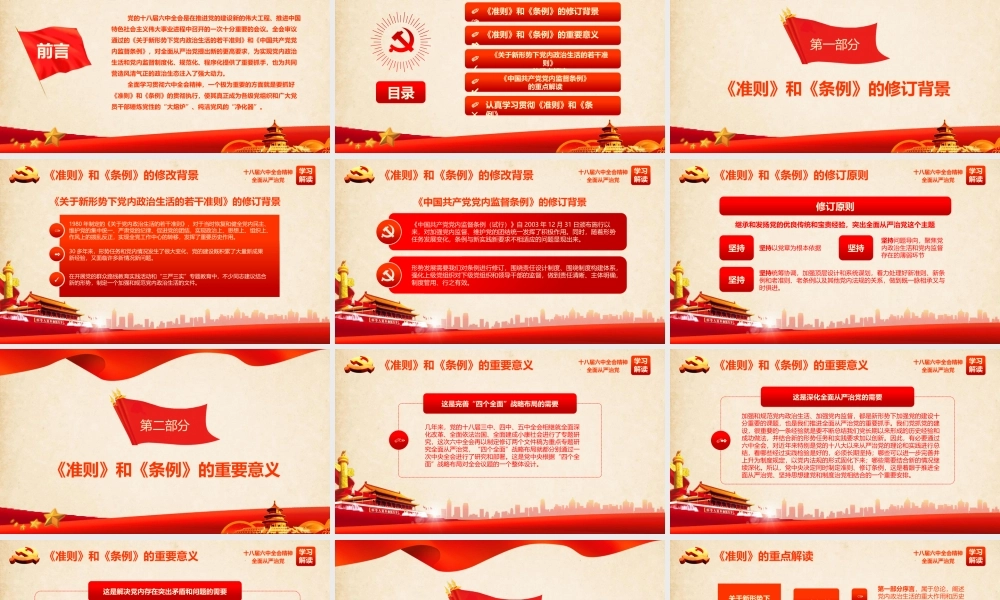 正府汇报(9).pptx