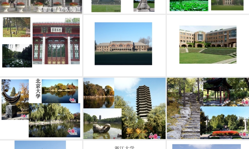 优质高效学习.ppt