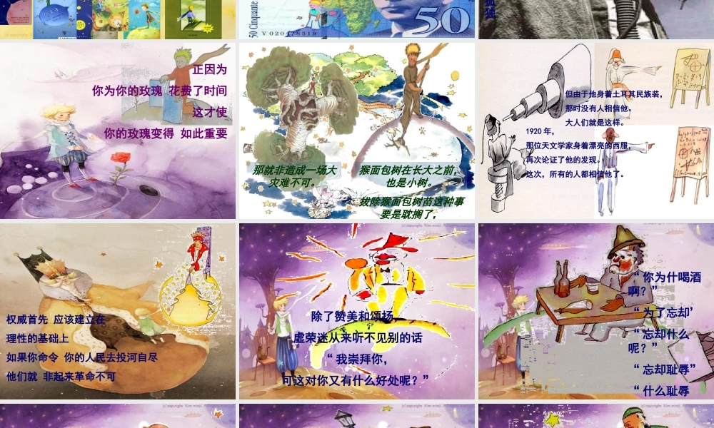 永远的小王子.ppt