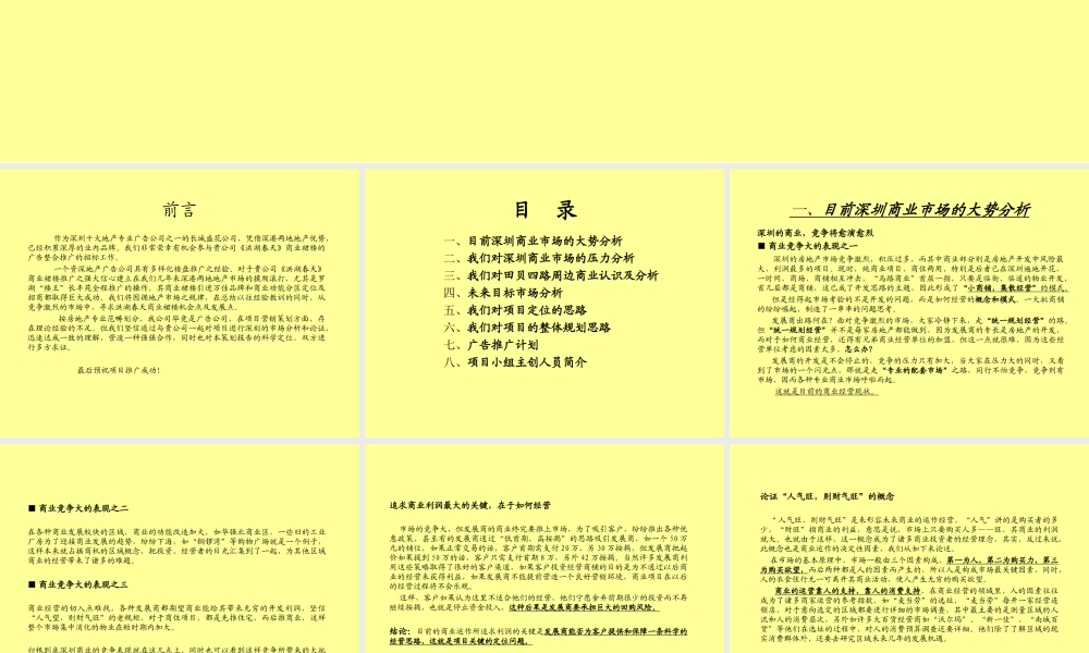 长城盛花-洪湖春天商业裙楼整合推广提案.ppt