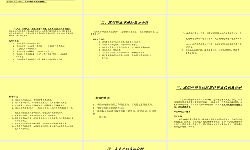 长城盛花-洪湖春天商业裙楼整合推广提案.ppt