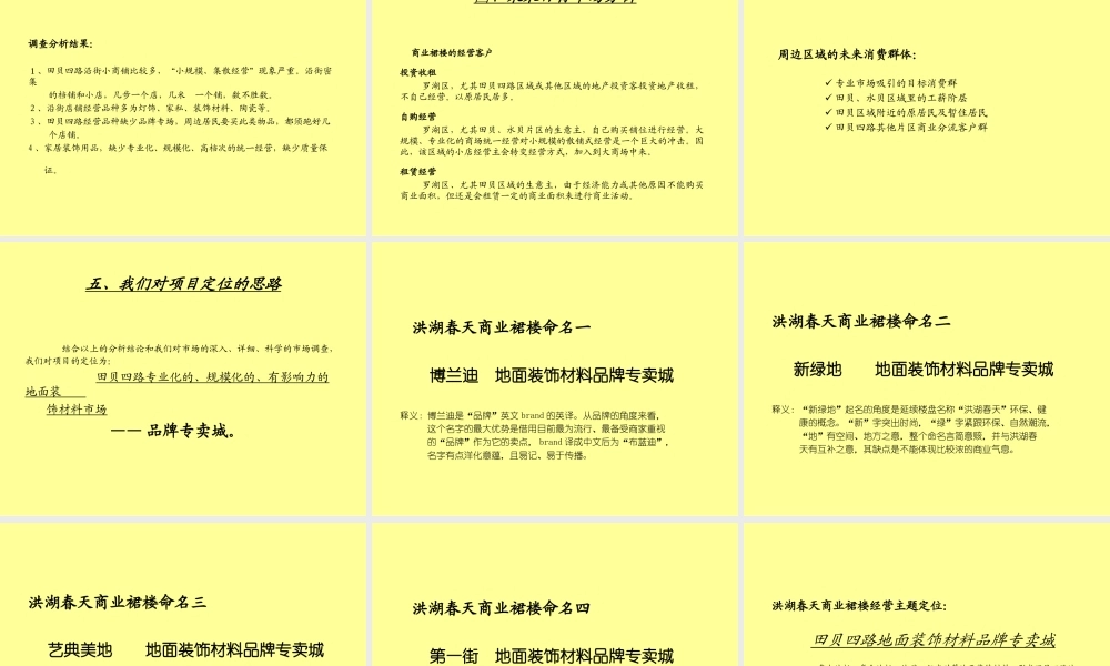 长城盛花-洪湖春天商业裙楼整合推广提案.ppt