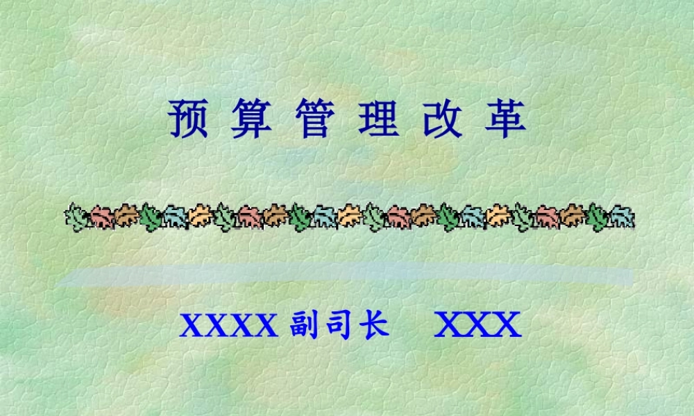 预算管理改革.ppt