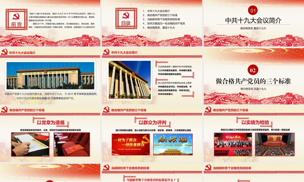 正府汇报(4).pptx