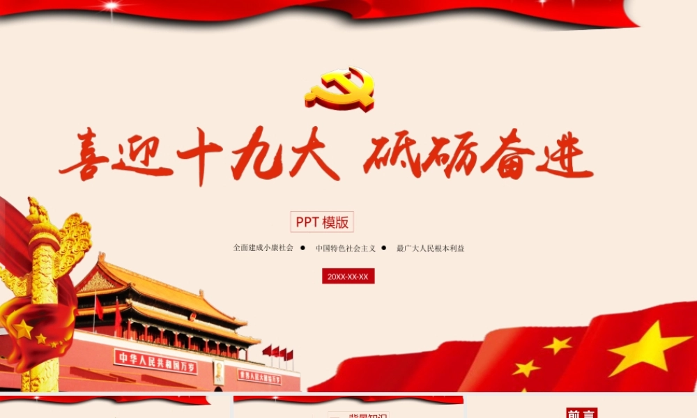 正府汇报(10).pptx