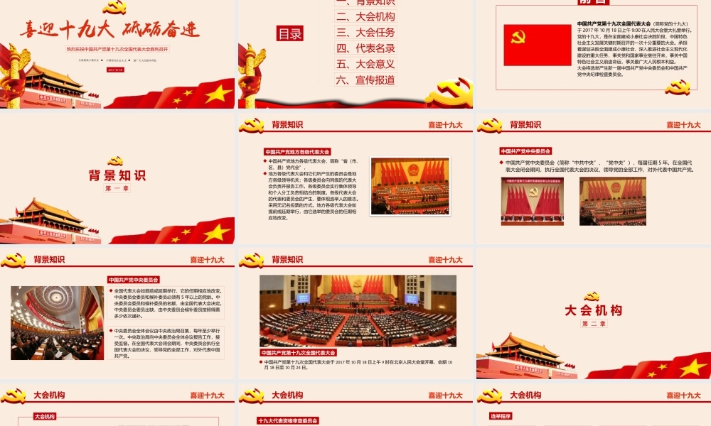 正府汇报(10).pptx