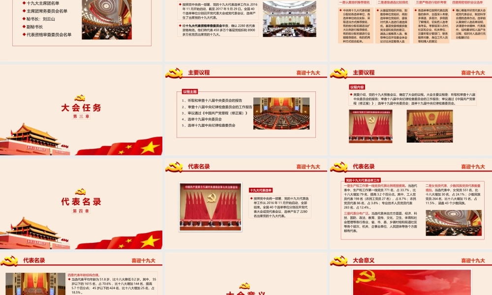 正府汇报(10).pptx