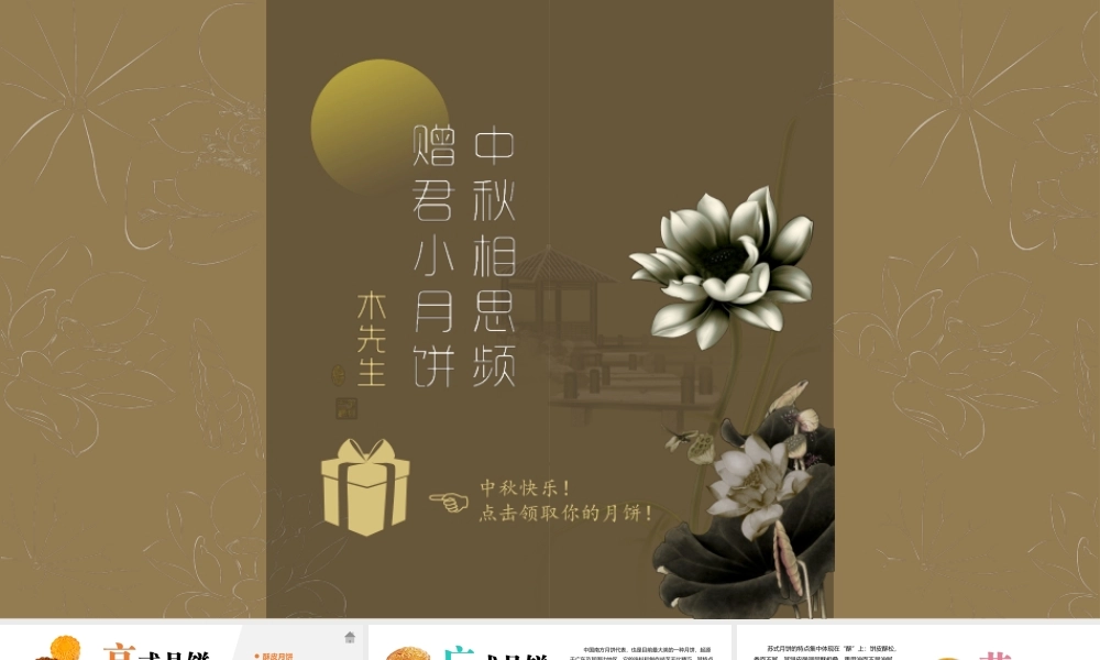 中国风 47 亮亮图文.pptx