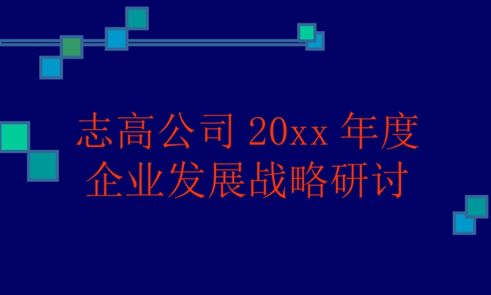 志高公企业发展战略研讨.ppt