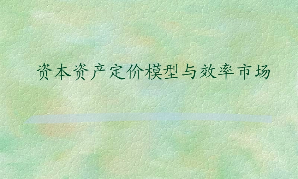 资本资产定价模型与效率市场.ppt