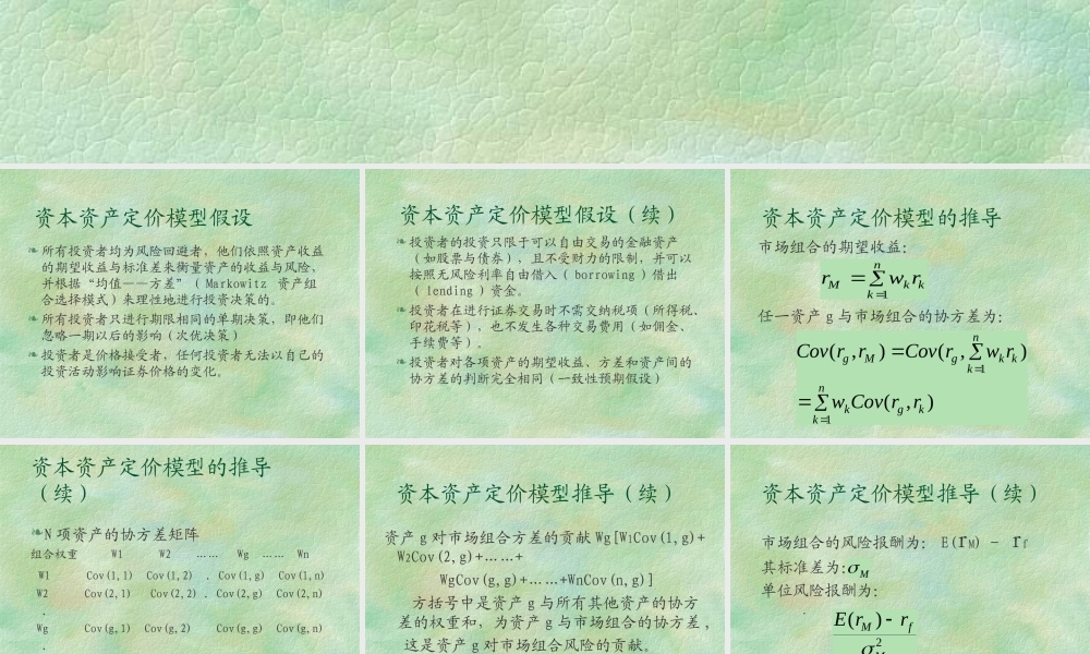 资本资产定价模型与效率市场.ppt