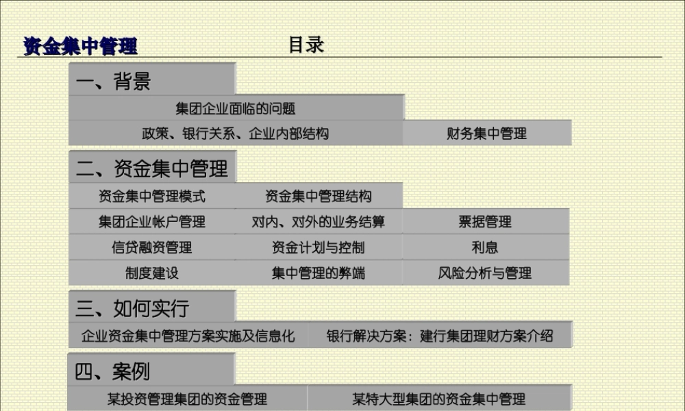 资金集中管理.ppt