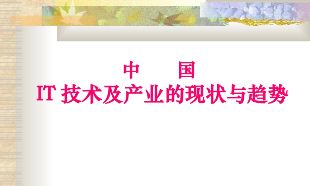 中国IT技术及产业的现状与趋势.ppt