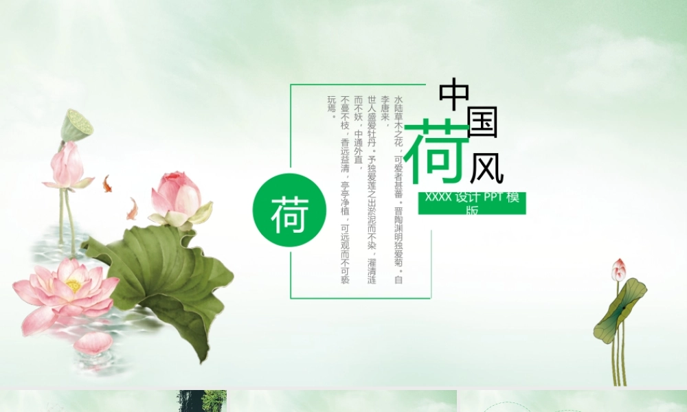 中国风格(29).pptx