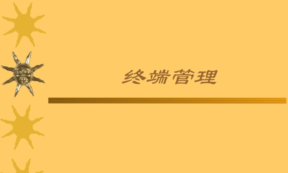 终端管理.ppt