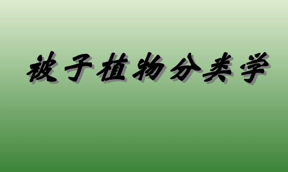 被子植物分类学.ppt