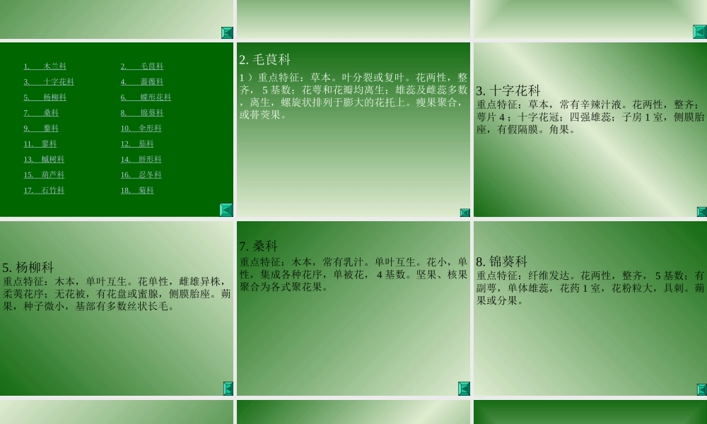 被子植物分类学.ppt