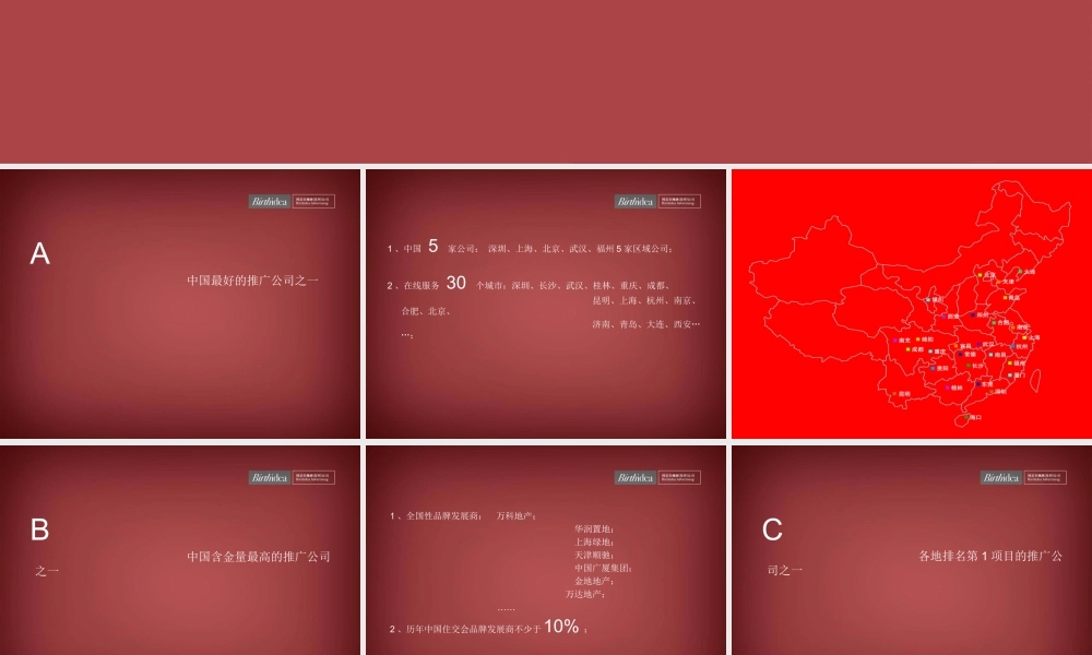 博思堂公司简介在线项目整合PP.ppt