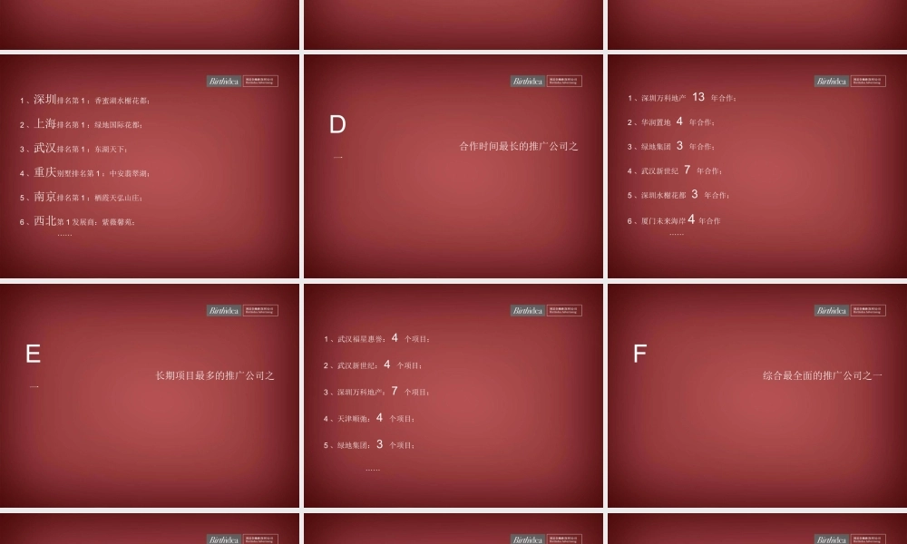 博思堂公司简介在线项目整合PP.ppt