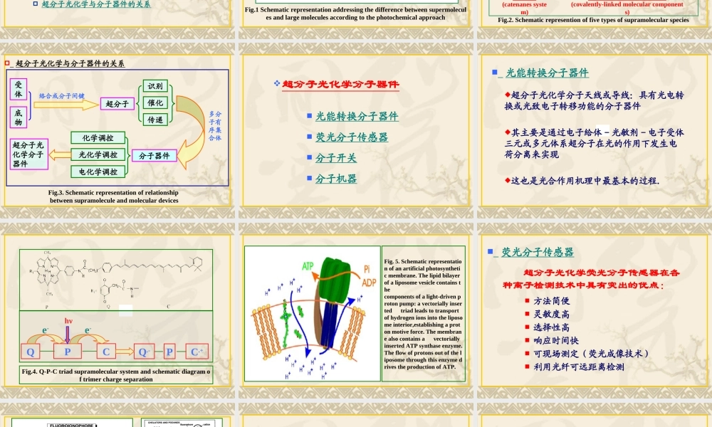 超分子光化学分子器件的研究进展.ppt