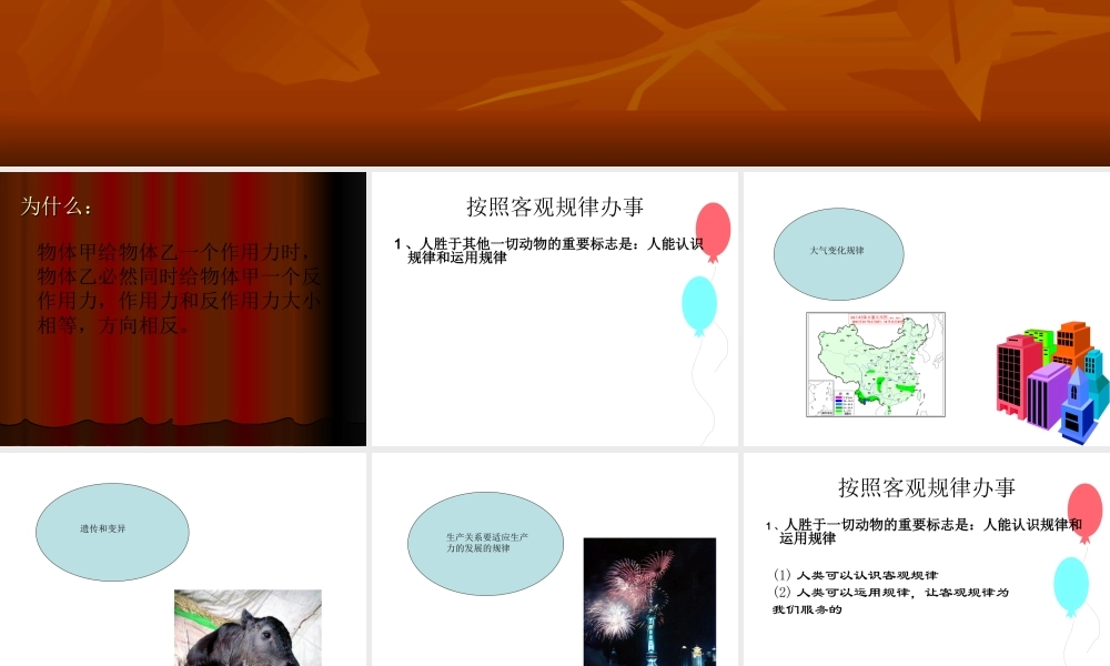 按客观规律办事.ppt