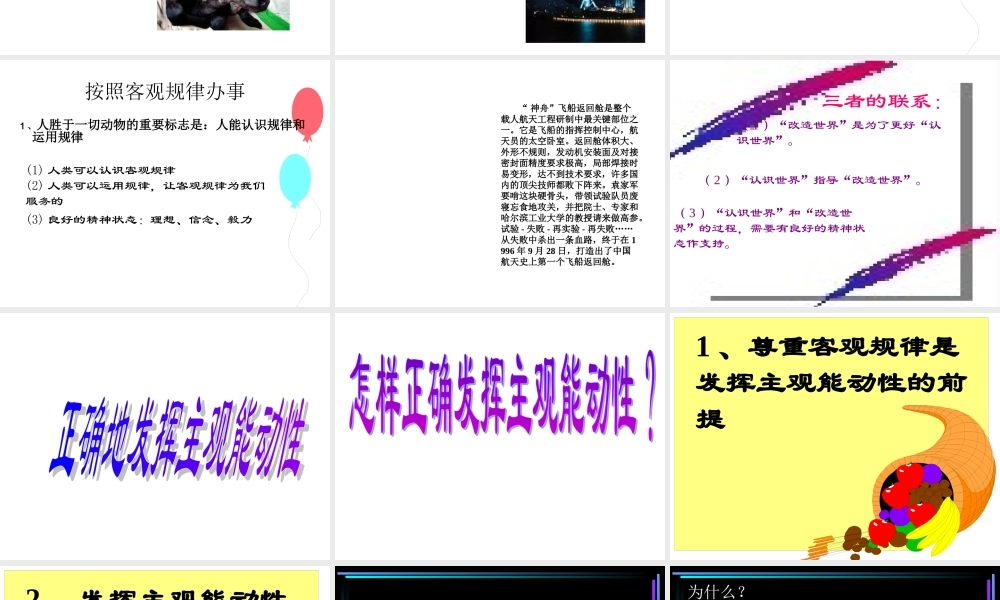 按客观规律办事.ppt