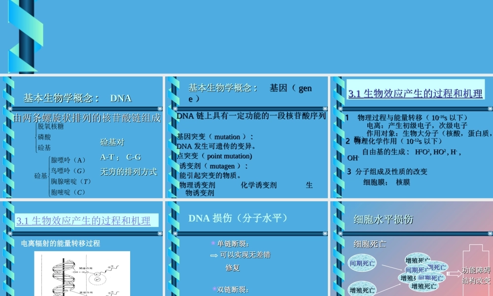 电离辐射的生物效应.ppt