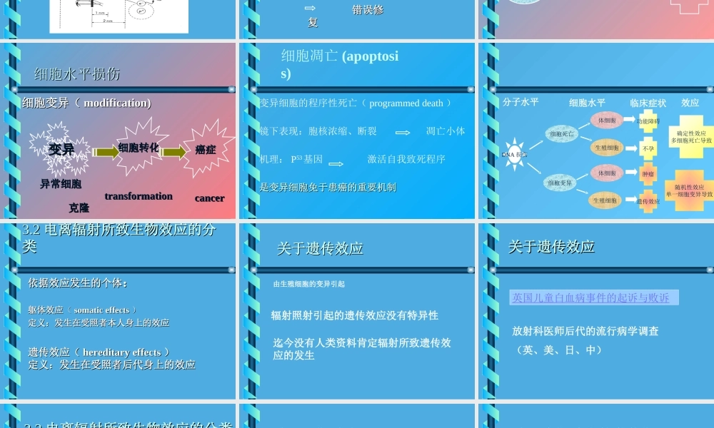 电离辐射的生物效应.ppt