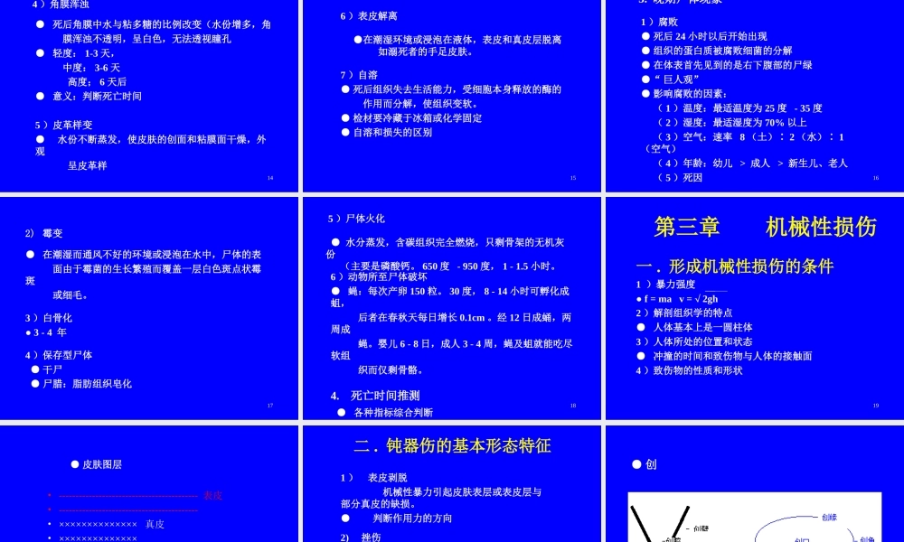 法医学与法医鉴定人.ppt