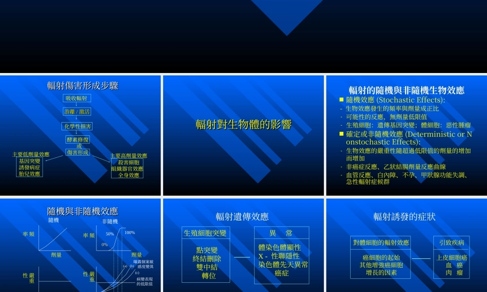 辐射对生物体的影响与所造成的急性伤害.ppt