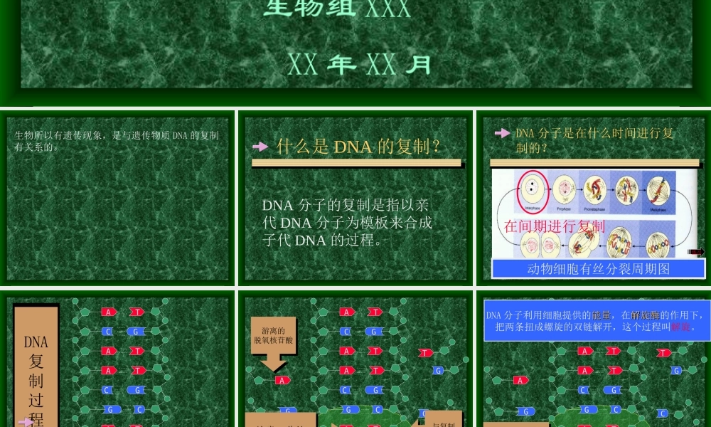 高中生物多媒体教学课件.ppt