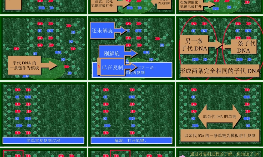 高中生物多媒体教学课件.ppt