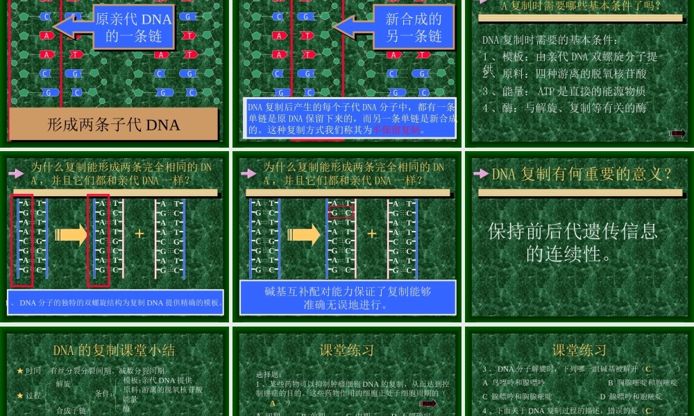 高中生物多媒体教学课件.ppt